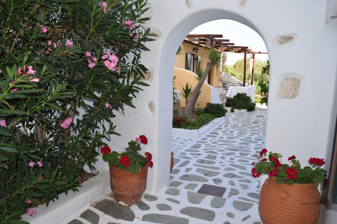 Tzane Studios & Apartments - Steps Away From Golden Beach Хриси Акти Екстериор снимка